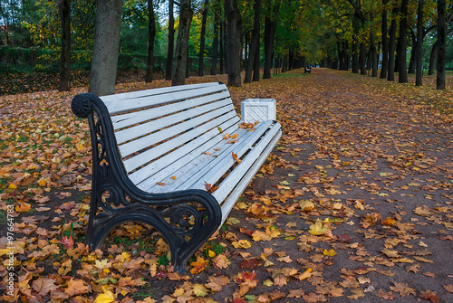 Bench at the autumn alley 