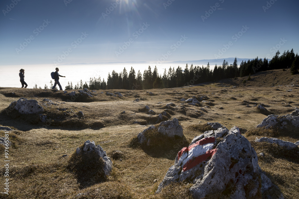 Wanderweg in der Steiermark,Österreich