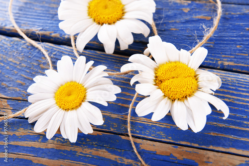 Fresh chamomile flowers on wooden table  closeup