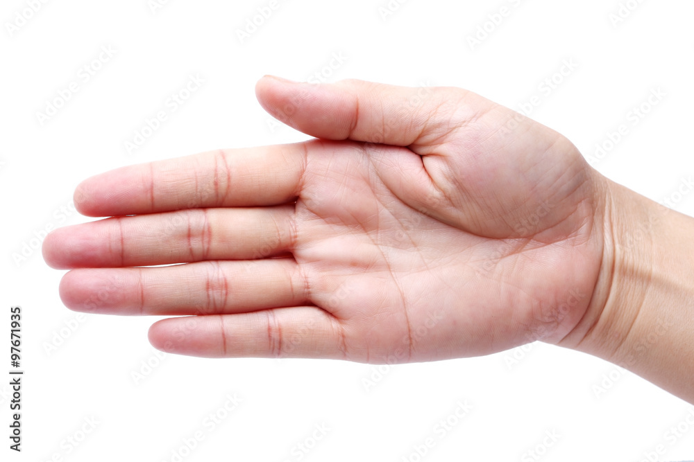 beautiful hand isolated on white background beautiful hand isolated on white background