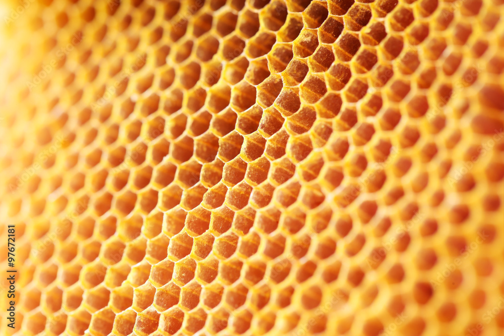 honey comb pattern - obrazy, fototapety, plakaty 