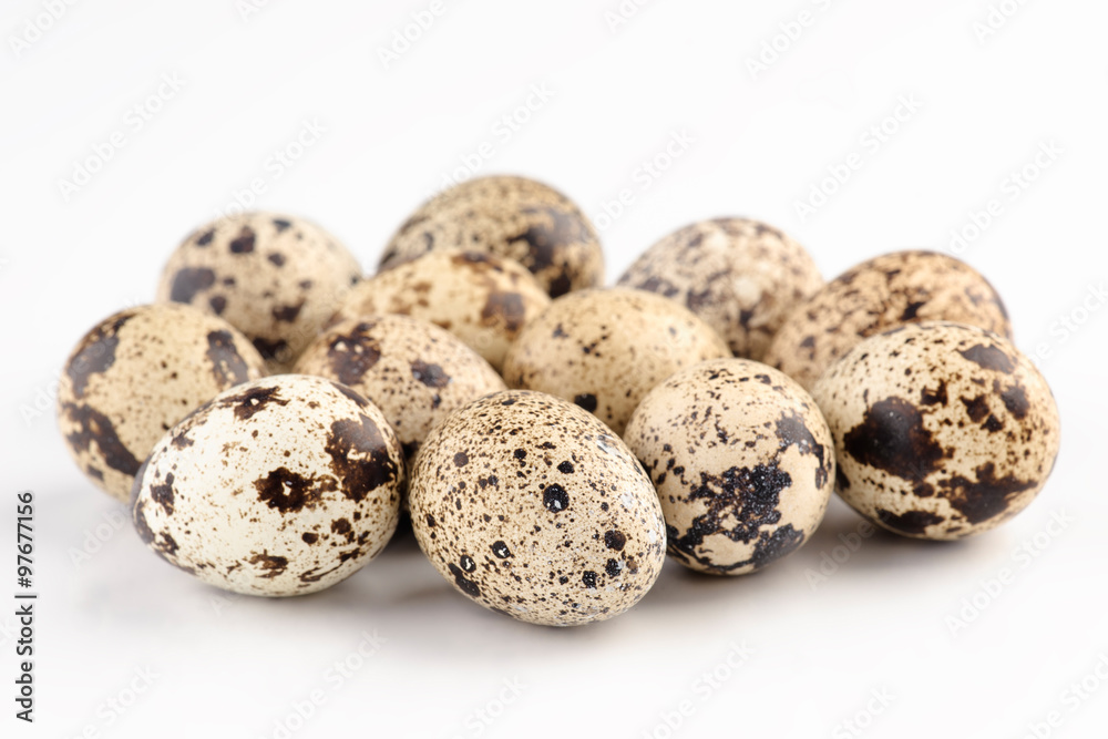 group of fresh quail eggs
