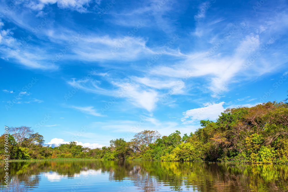 Obraz premium Amazon Jungle in Brazil
