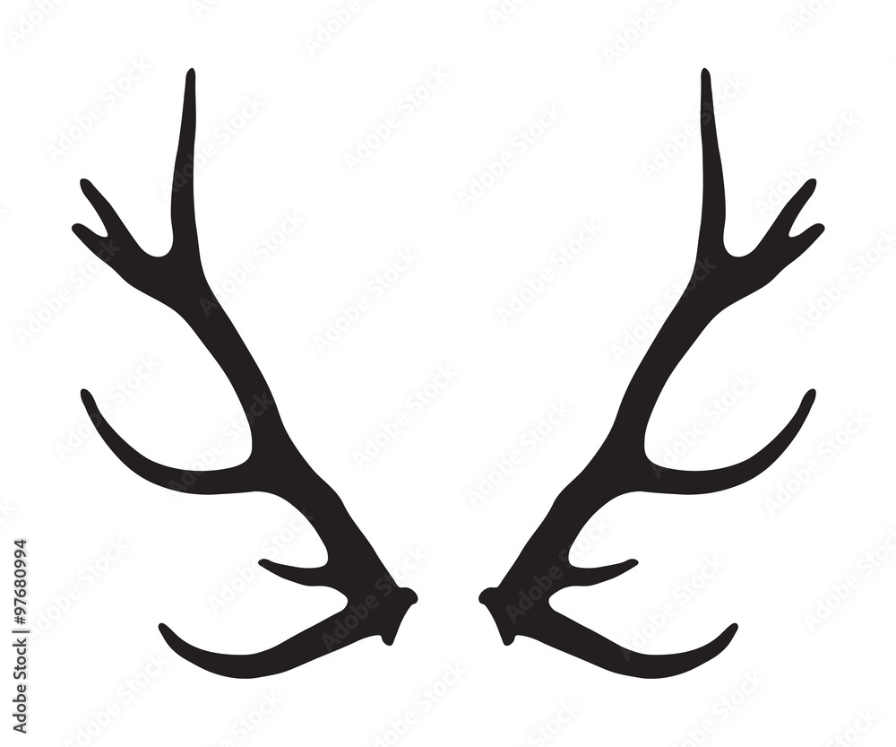 Fototapeta premium black silhouette of antlers