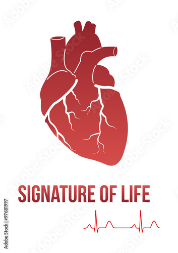 Signature of life design concept - heart with SIGNATURE OF LIFE text and cardiogram line that actually symbolizes signature. Can be used by clinics for logos, print products, page and web decor.