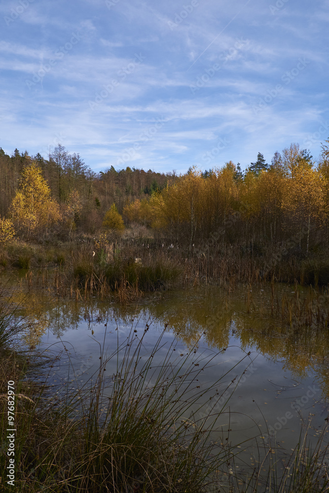 Nördlicher Steigerwald im Herbst, Unterfranken, Bayern, Deutsch