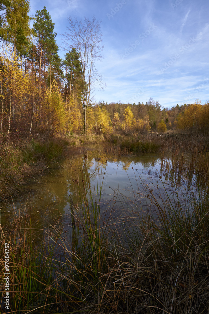 Nördlicher Steigerwald im Herbst, Unterfranken, Bayern, Deutsch Nördlicher Steigerwald im Herbst, Unterfranken, Bayern, Deutsch