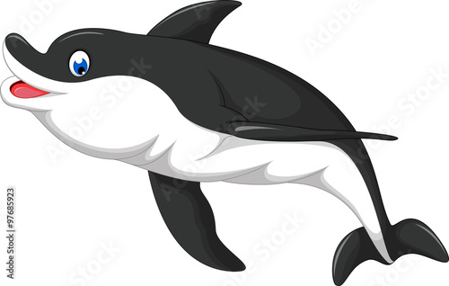 cute dolphins for you design