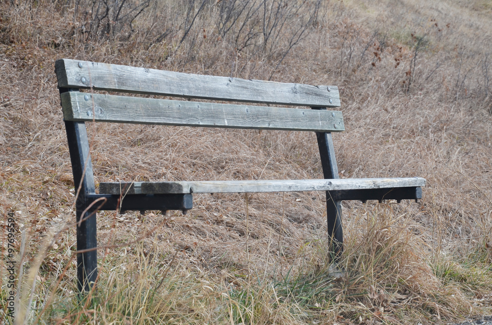 Wooden bench with dry grasses background Wooden bench with dry grasses background