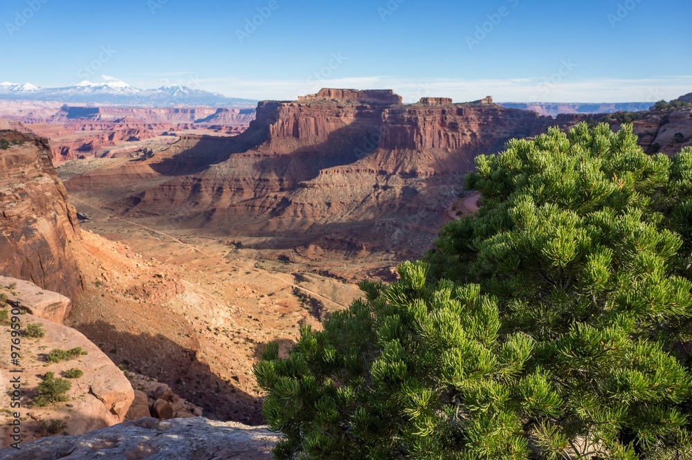 View of the canyon in Canyon-lands National Park. Utah. USA View of the canyon in Canyon-lands National Park. Utah. USA