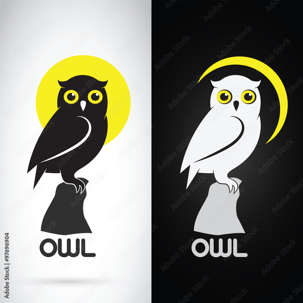 Obraz premium Vector image of an owl design on white background and black back