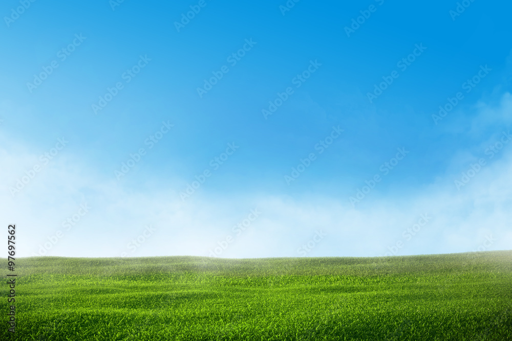 Green grass lawn with blue sky and mist Green grass lawn with blue sky and mist