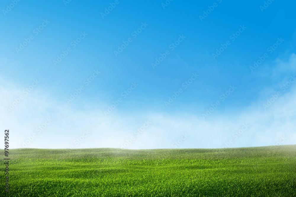 Green grass lawn with blue sky and mist