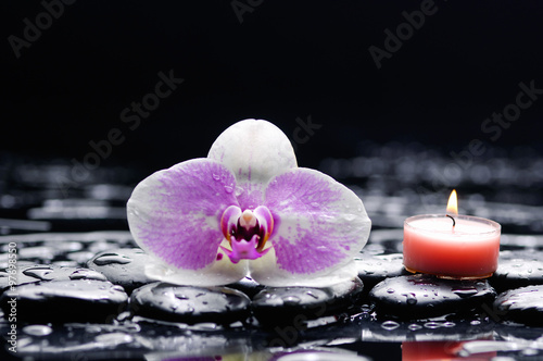 Black zen stone  candle and orchid petal still life