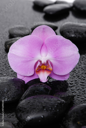 Zen stones and macro of orchid