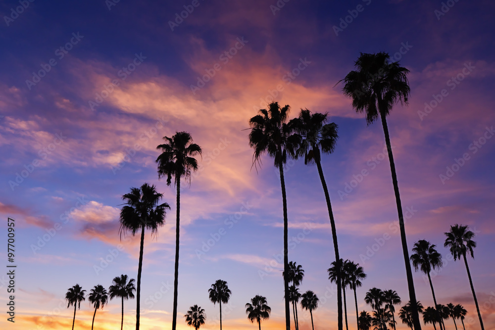 Naklejka premium Palm Trees in Sunset at Corona Del Mar Beach, California.