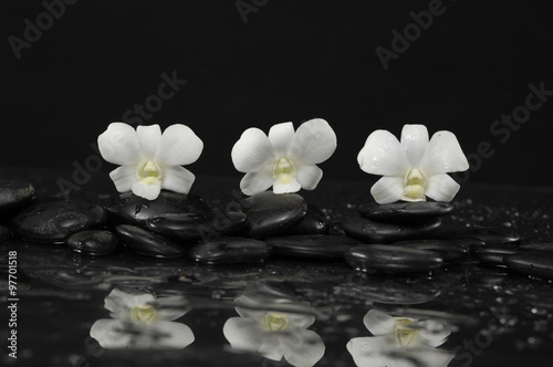 White three orchid with therapy stones 