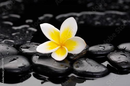 Zen wet stones and frangipani
