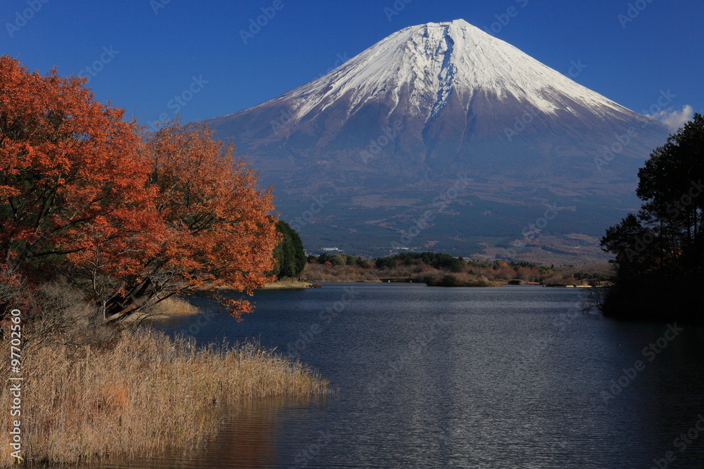 晩秋の田貫湖と富士山