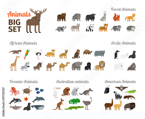 Fototapeta Naklejka Na Ścianę i Meble -  Animals in flat style