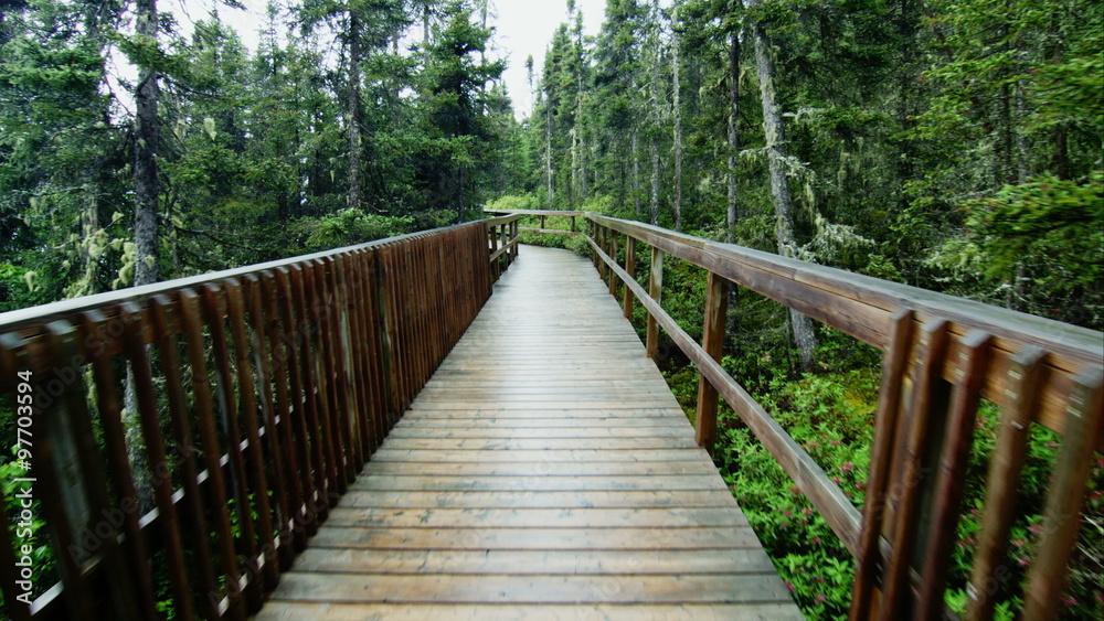 Walking POV on a Wet Boardwalk on a rainy Day of Summer Walking POV on a Wet Boardwalk on a rainy Day of Summer