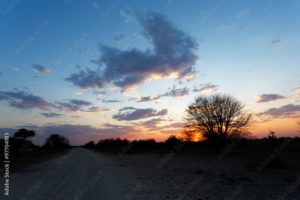 Obraz premium African sunset with tree in front