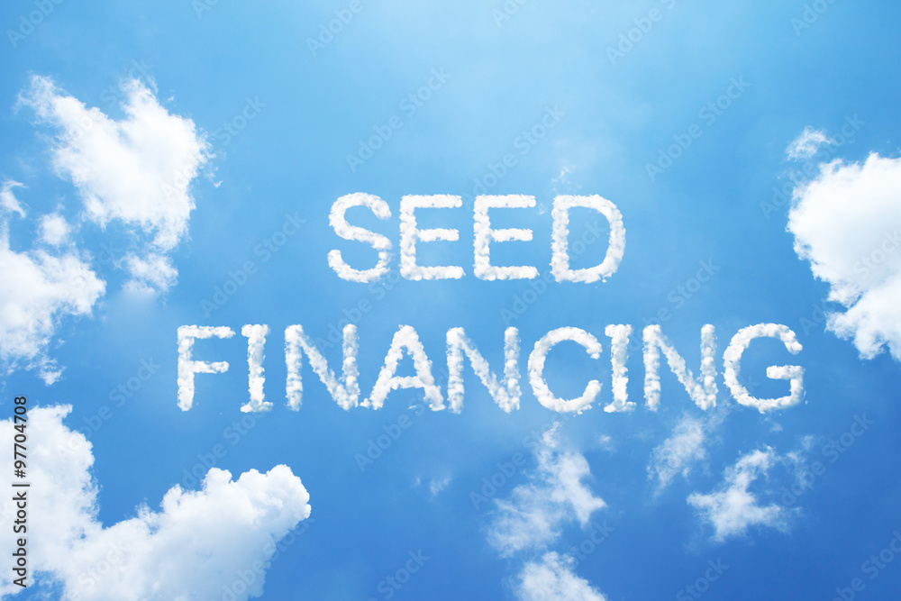 seed financing cloud word on sky. seed financing cloud word on sky.