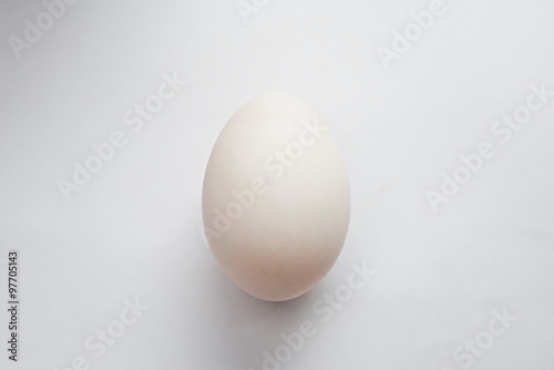 A Duck egg