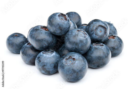 blueberry or bilberry or blackberry or blue whortleberry or huck