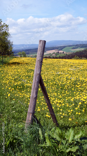 Zaunpfosten auf der Wiese photo