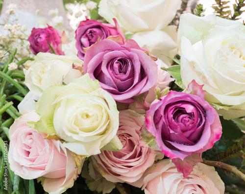 roses