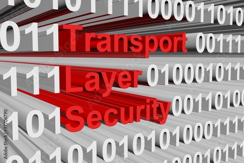 Transport Layer Security is presented in the form of binary code