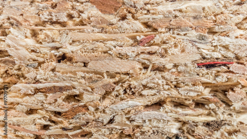 Photography Cork background - macro