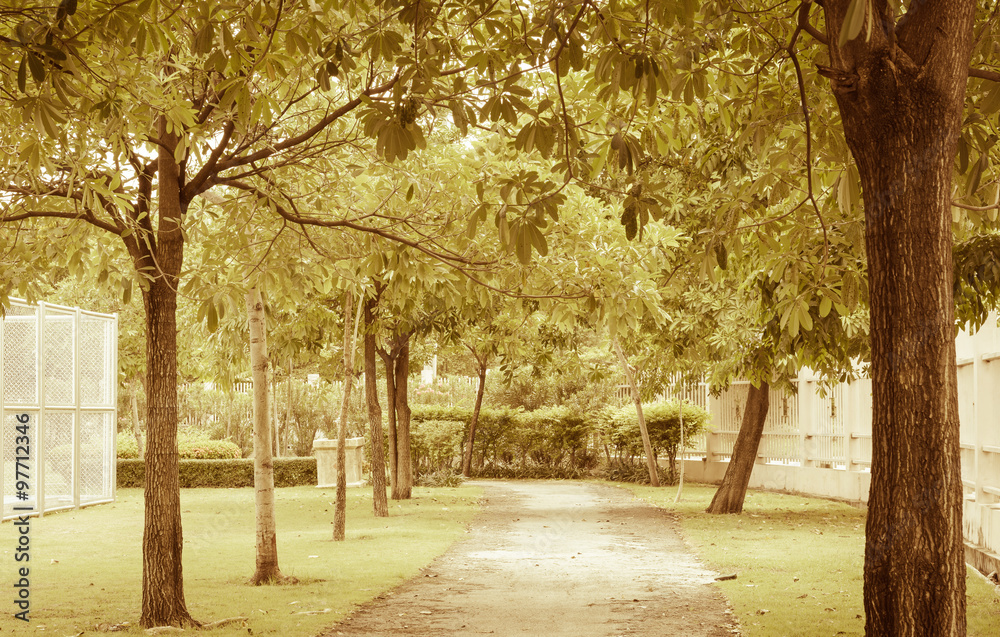 Naklejka premium public park