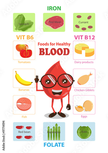 Nutritious Food good for health blood concept infographics.vector illustration