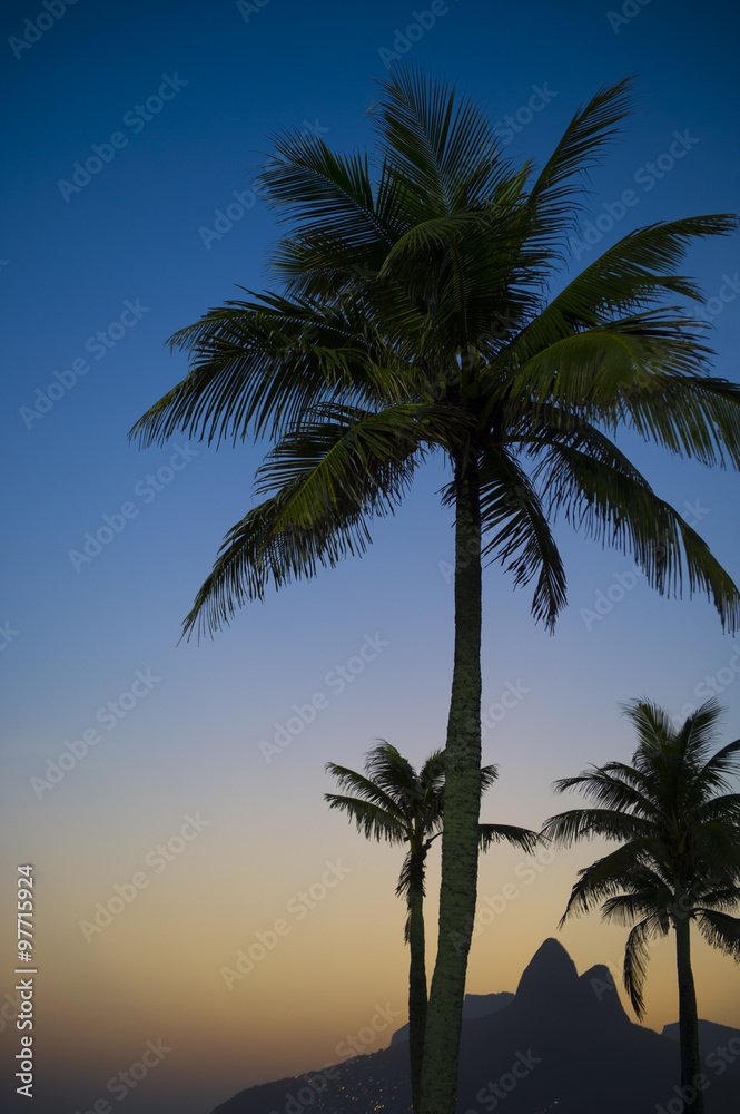 Dark sunset in Rio de Janeiro Ipanema Beach Brazil featuring Two Brothers Dois Irmaos Mountain under palm tree silhouettes 