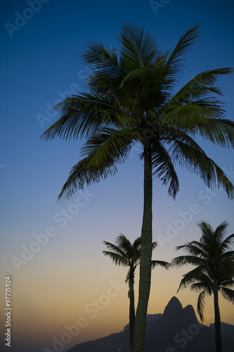 Dark sunset in Rio de Janeiro Ipanema Beach Brazil featuring Two Brothers Dois Irmaos Mountain under palm tree silhouettes 