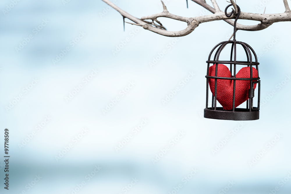 heart in bird cage