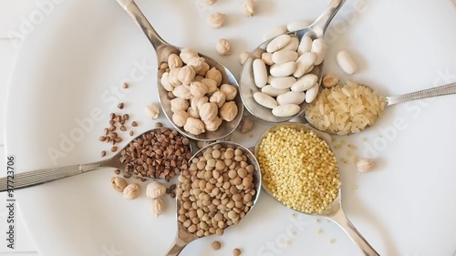 vegetarian protein