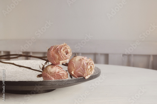 Still life roses