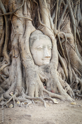 Head of Buddha statue in the tree roots at Wat Mahathat temple, Ayutthaya, Thailand. © Southtownboy Studio