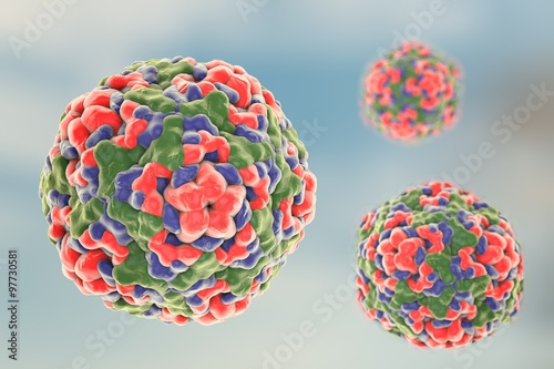 Illustration of Enterovirus D68 which causes respiratory infections in children on colorful background. A model is built using data of viral macromolecular structure from Protein Data Bank (PDB 4WM8) photo