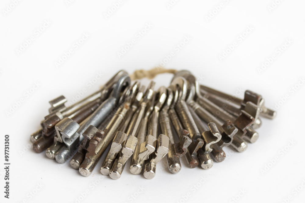 Fototapeta premium group of keys macro on white background