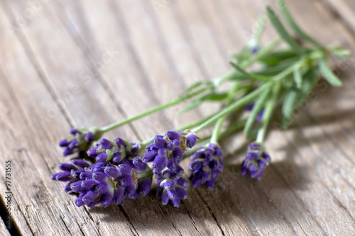 Fototapeta Naklejka Na Ścianę i Meble -  Fresh lavender flowers