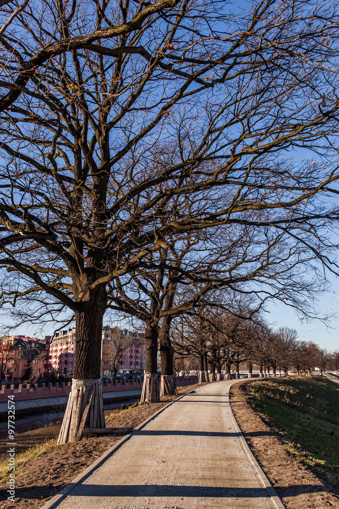 river bank with trees and blue sky