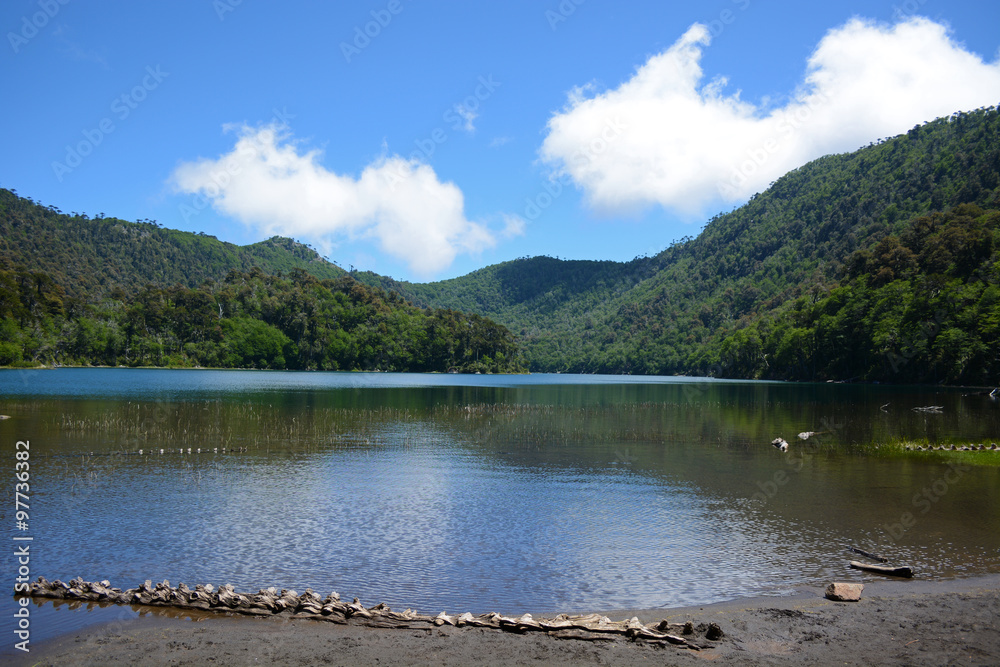 Fototapeta premium huerquehue national park pucon