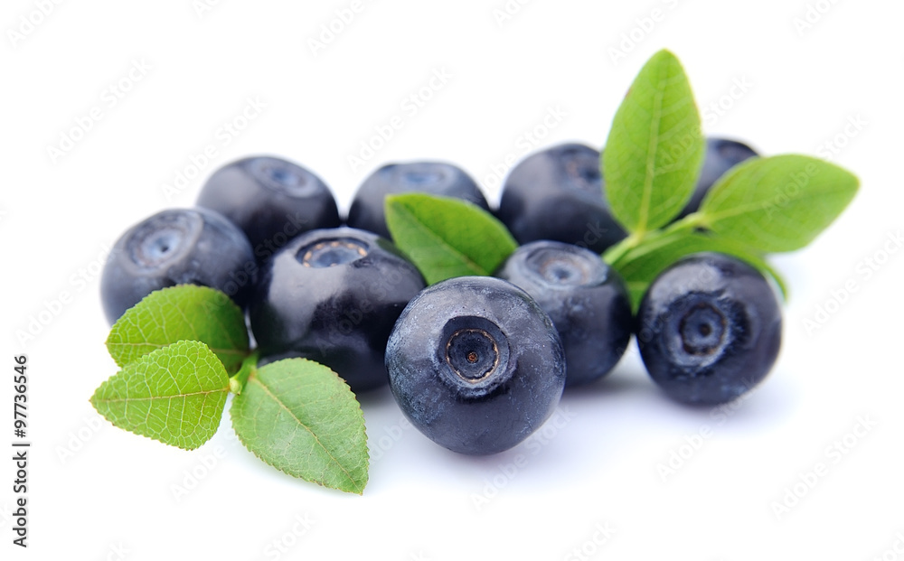 Blueberries with leaves Blueberries with leaves