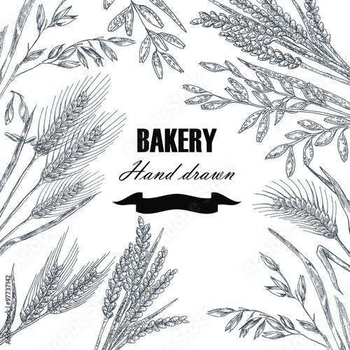Bread design template. Hand drawn wheat set. Vector illustration