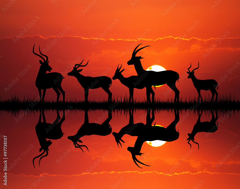 gazelle silhouette in African landscape - obrazy, fototapety, plakaty 
