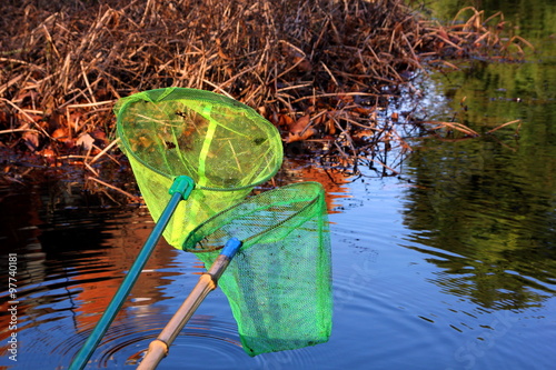 pond dipping